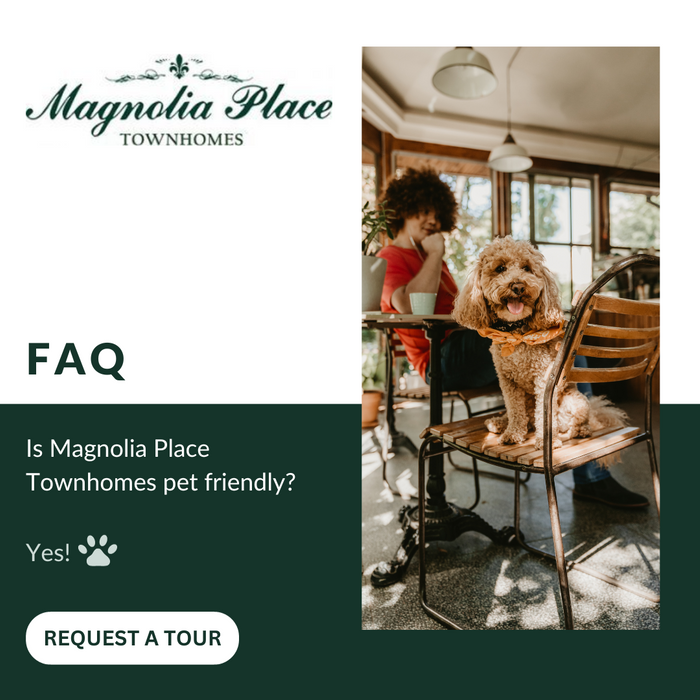 Student Housing Magnolia Place Student Townhome Rentals Magnolia